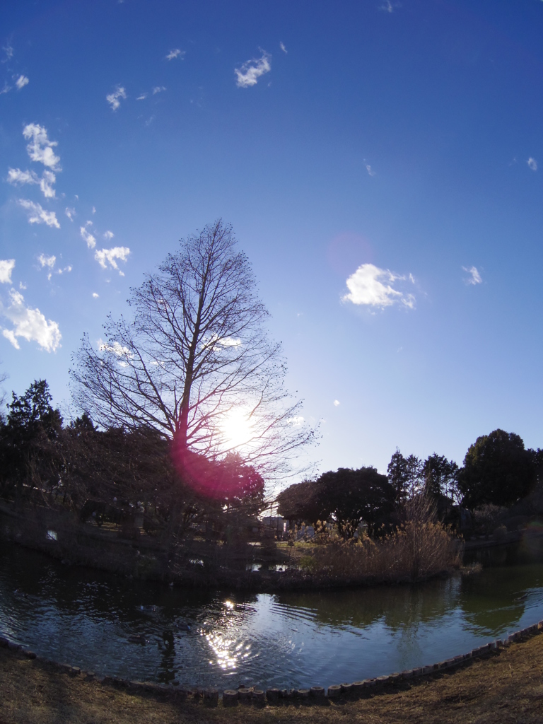 水城公園で