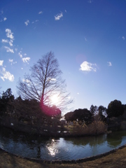 水城公園で