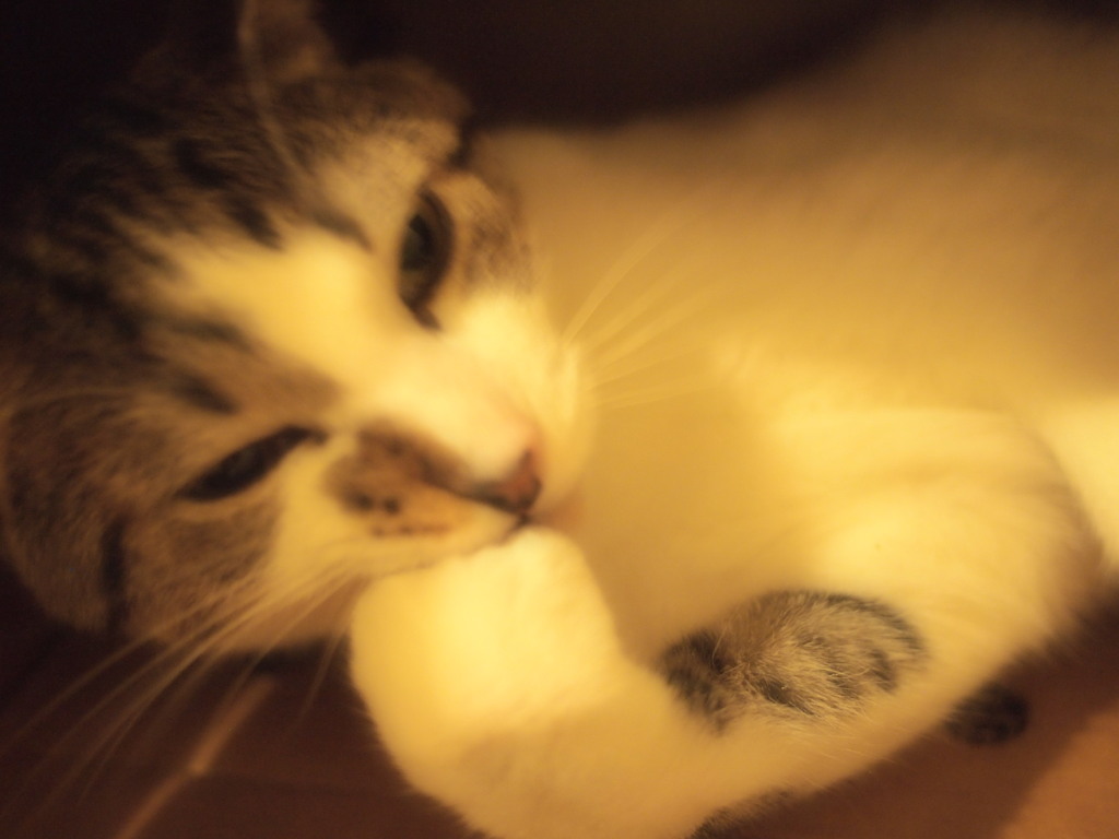 ハラ減った？