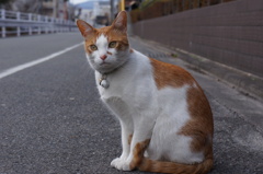 お辞儀