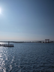 120109冬の浜名湖