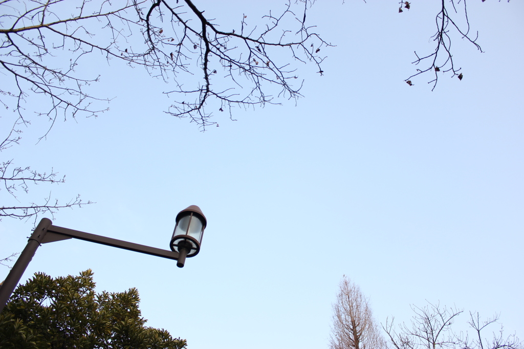 空を仰いで　～冬の終わり～