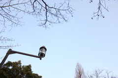 空を仰いで　～冬の終わり～