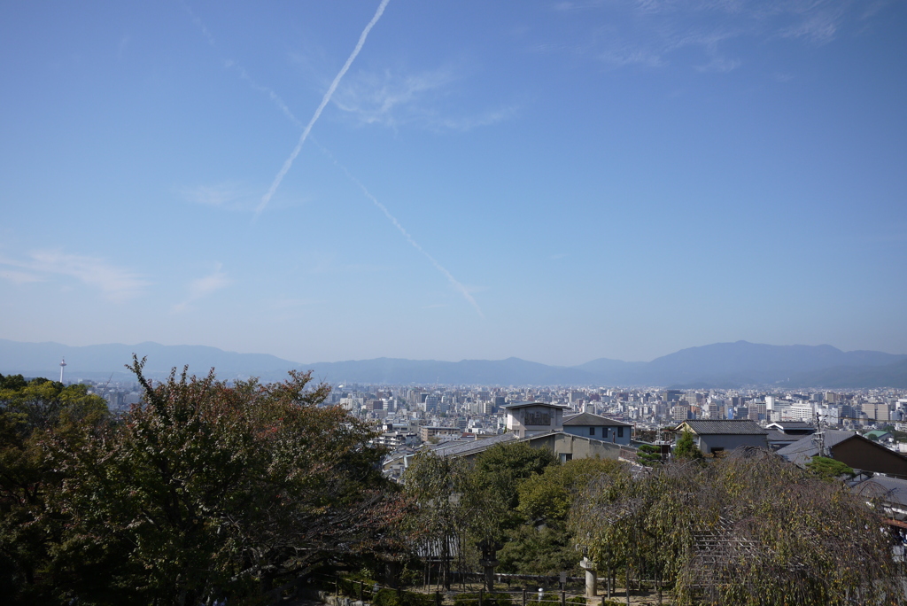 京都(14)