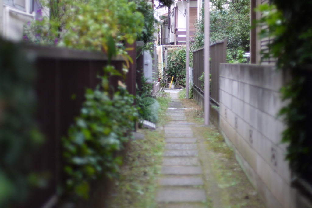 散歩(2)