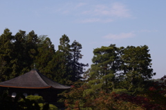 京都(7)