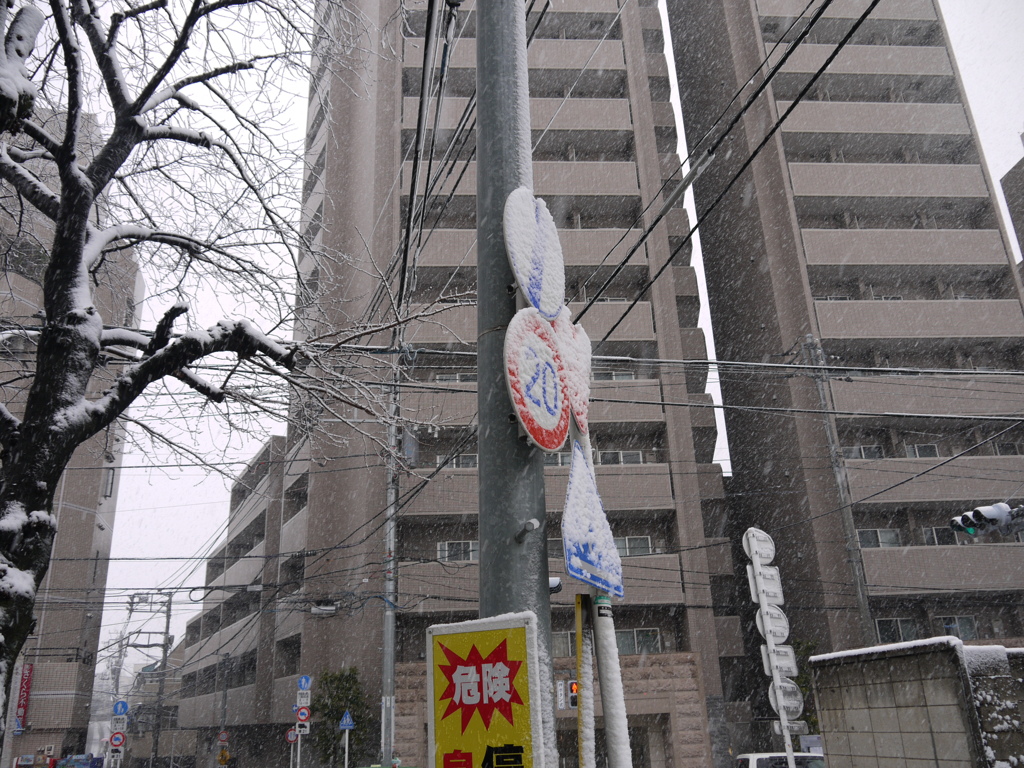 yuki1