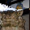 頭寒