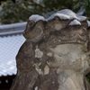 鼻・頭寒