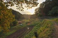 里山の夕暮れ