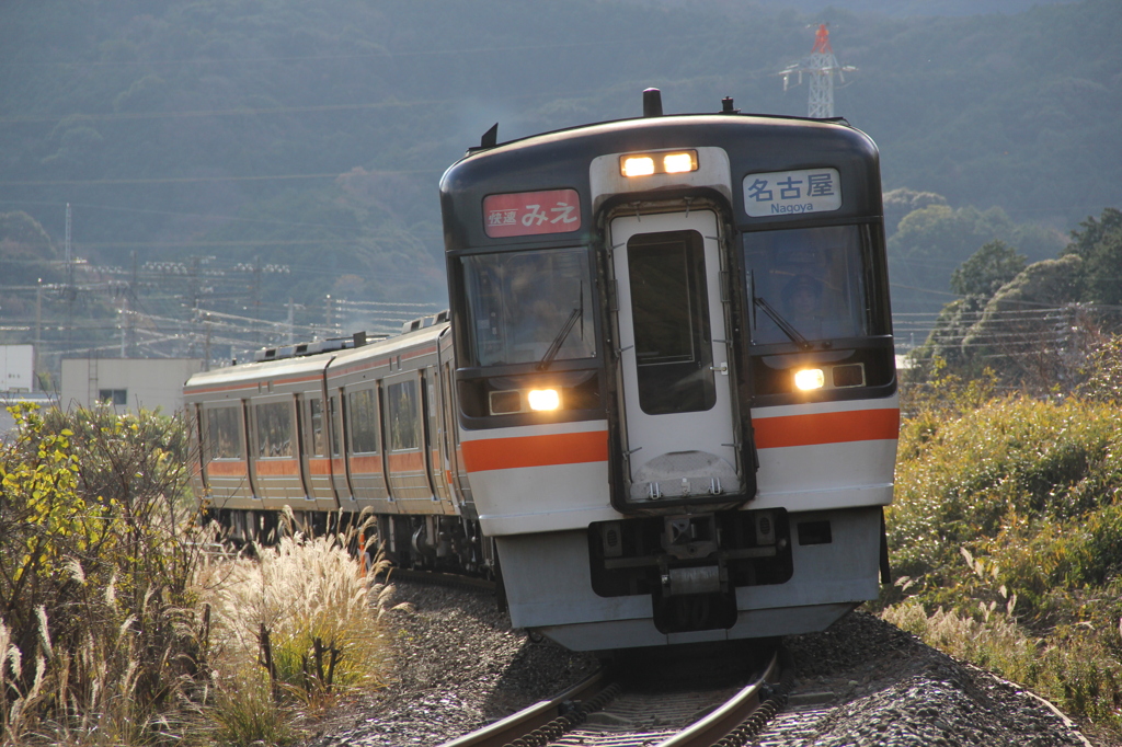 キハ75形2次車「快速みえ」 by しなの (ID:1657314) - 写真 キハ75形2次車「快速みえ」 by しなの (ID:1657314) - 写真