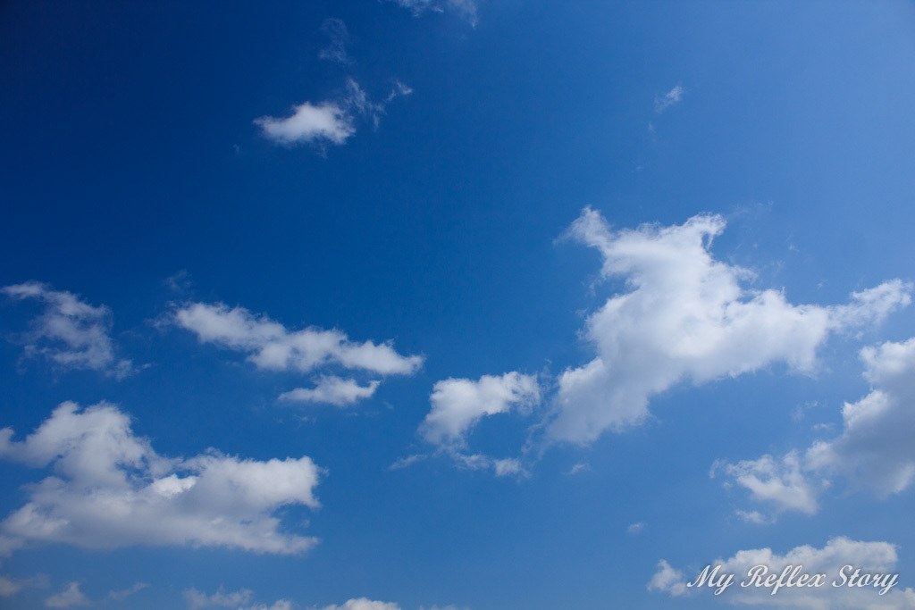 青天、今日の天気はいいですね