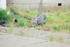 気合入ってる