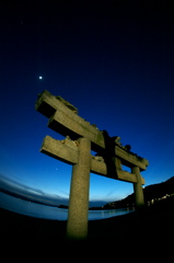 夜鳥居