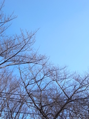 ファーストショット２