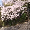 綺麗さ倍増。