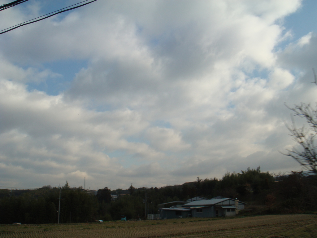 田園の一部