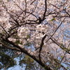 １つ１つが集まり。