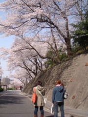 これから、どうするー？