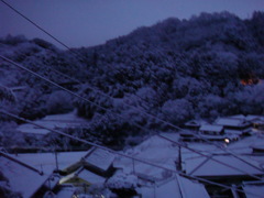 雪に埋もれていく