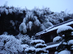 雪化粧　１