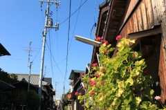 裏通り
