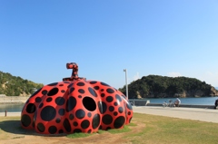 赤かぼちゃ