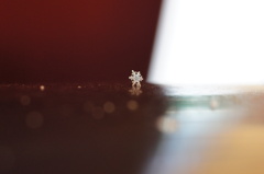 雪の結晶～その１