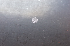 雪の結晶～その６