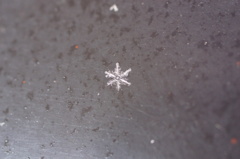 雪の結晶～その２
