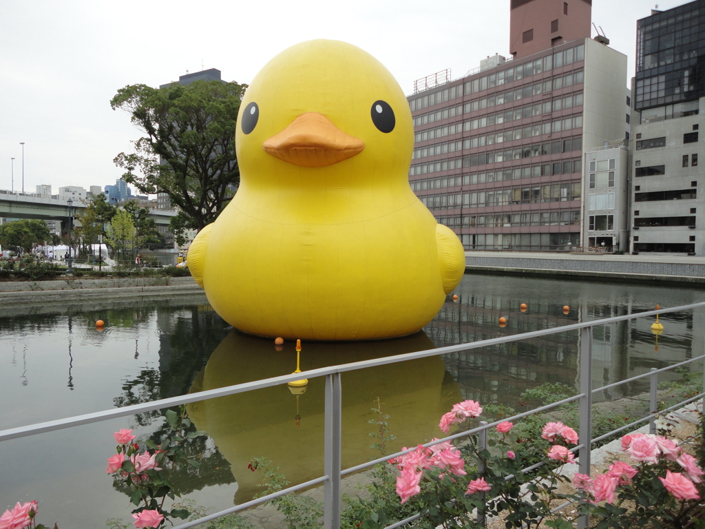 ラバーダックin北浜
