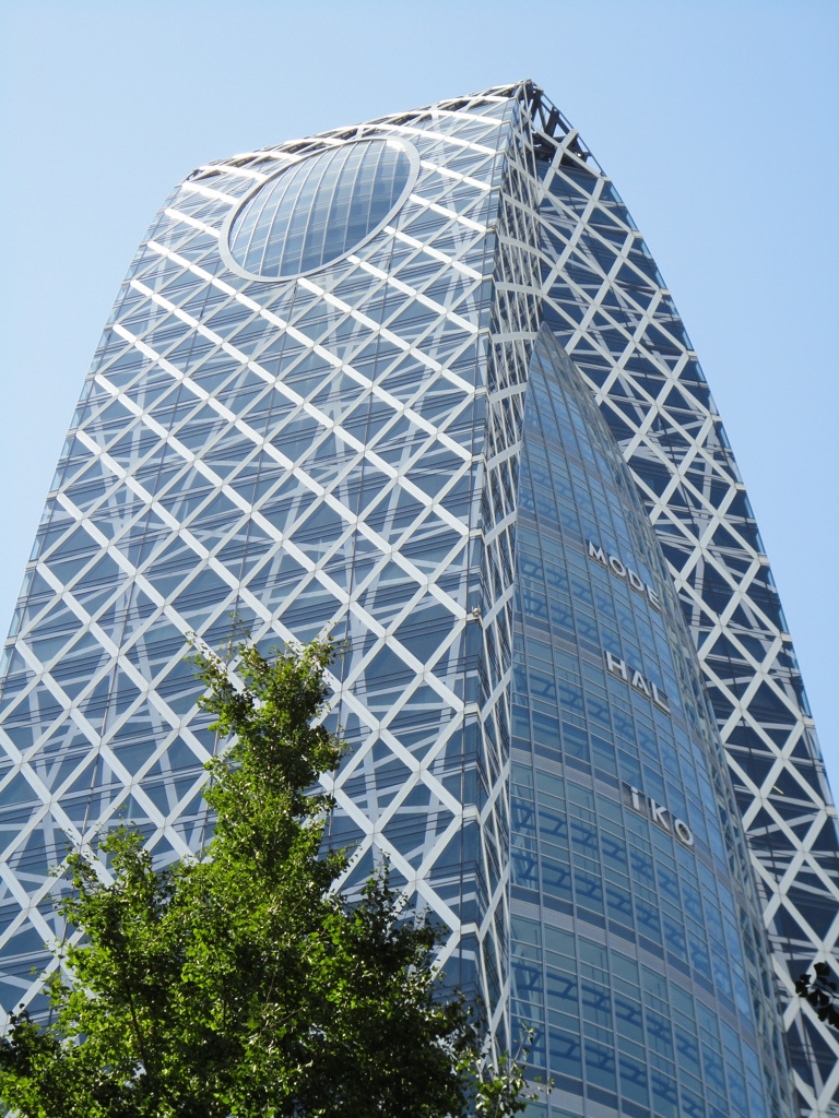 東京校