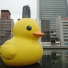 ラバーダックin北浜