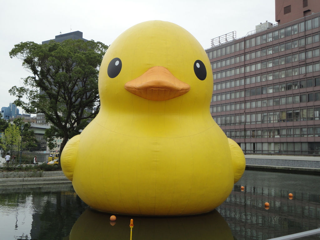 ラバーダックin北浜