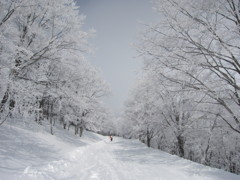 hakuba-koruchina