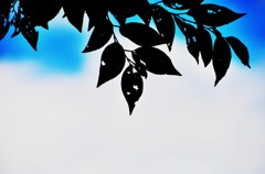 名わき役