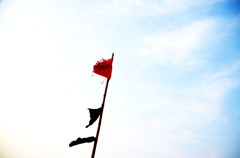 旗