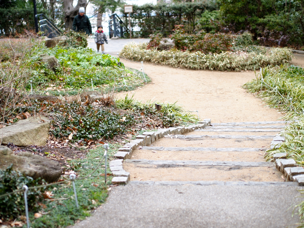 散歩道