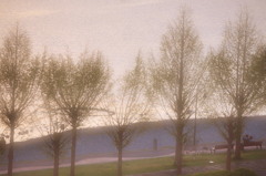 ロマンチック？