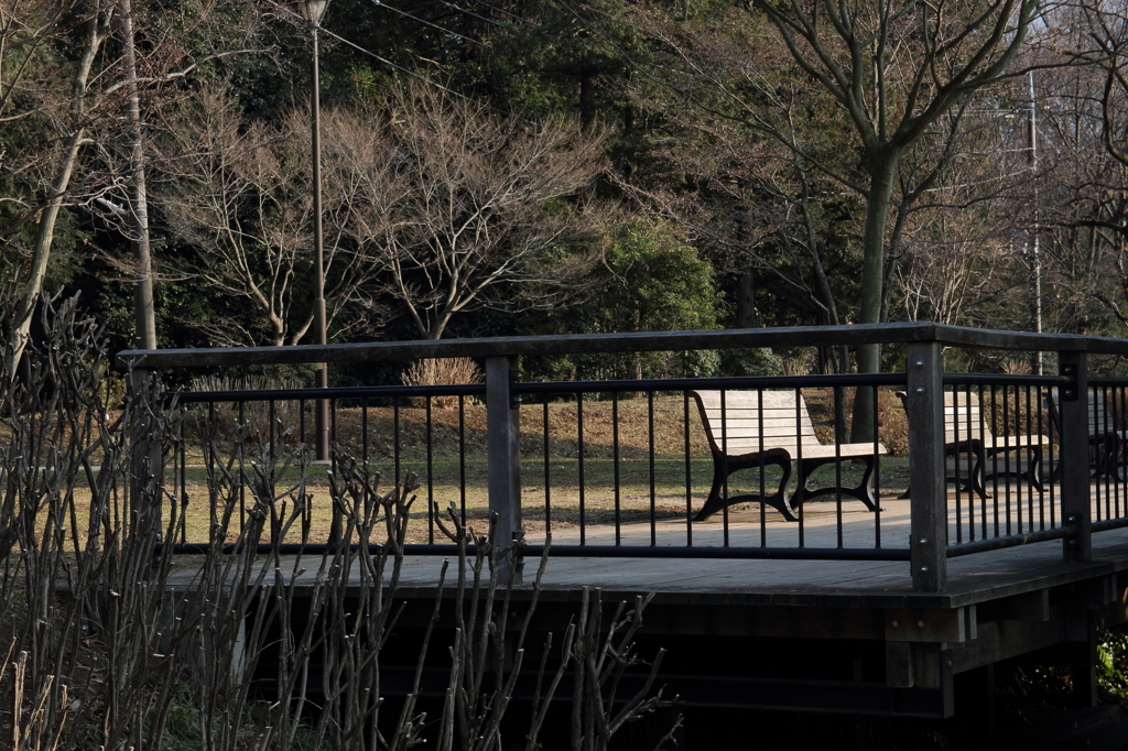 冬の公園