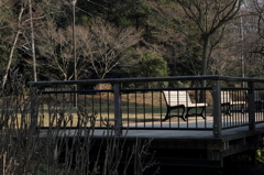 冬の公園
