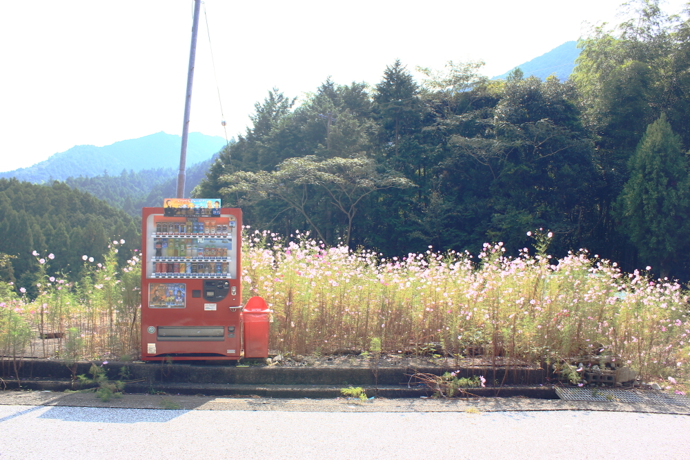 よそ見