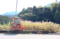 よそ見