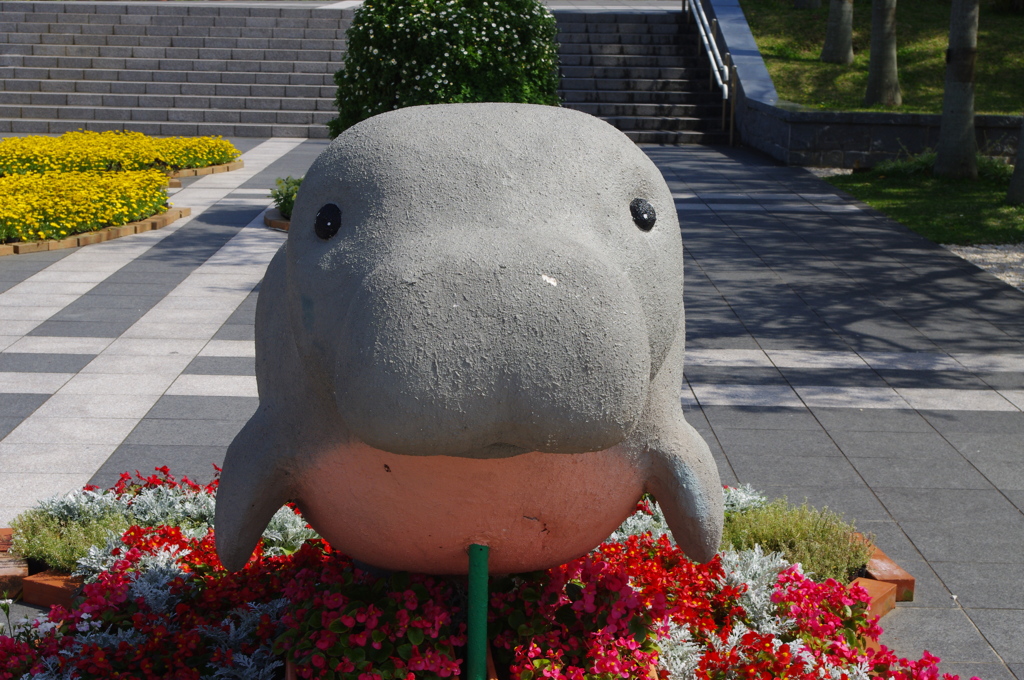 まなてぃー？