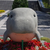 まなてぃー？