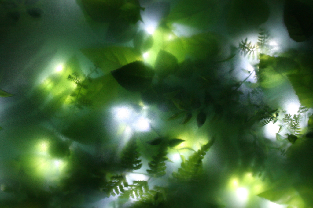 ガラスの中の生き物