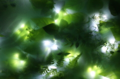 ガラスの中の生き物