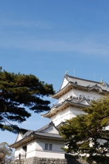 小田原城