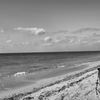 winter sea