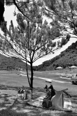 picnic